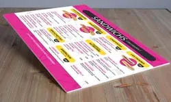 Panneaux PVC expanse Forex 2mm